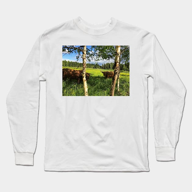 Scottish Highland Cattle Bulls 1771 Long Sleeve T-Shirt by SaarelaHighland